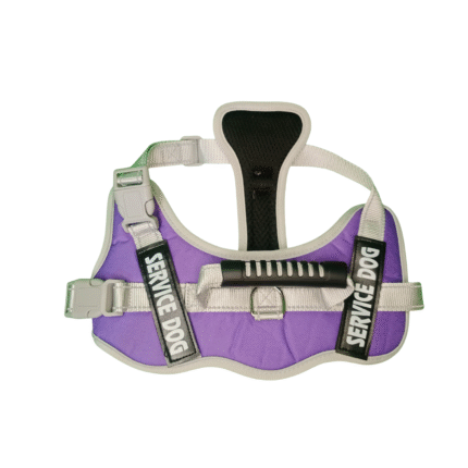 PECHERA SERVICE DOG MORADA TALLA M